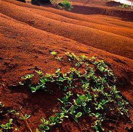 《GTA：圣安地列斯》将登陆VR平台Oculus Quest 2
